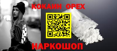 гашик Шелехов